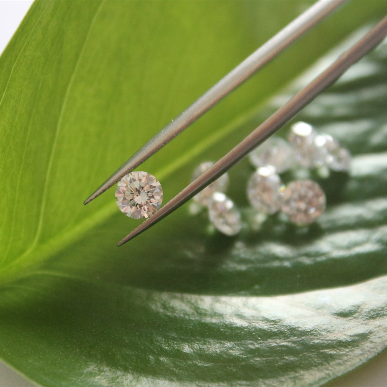 Lab Grown Polished Diamond